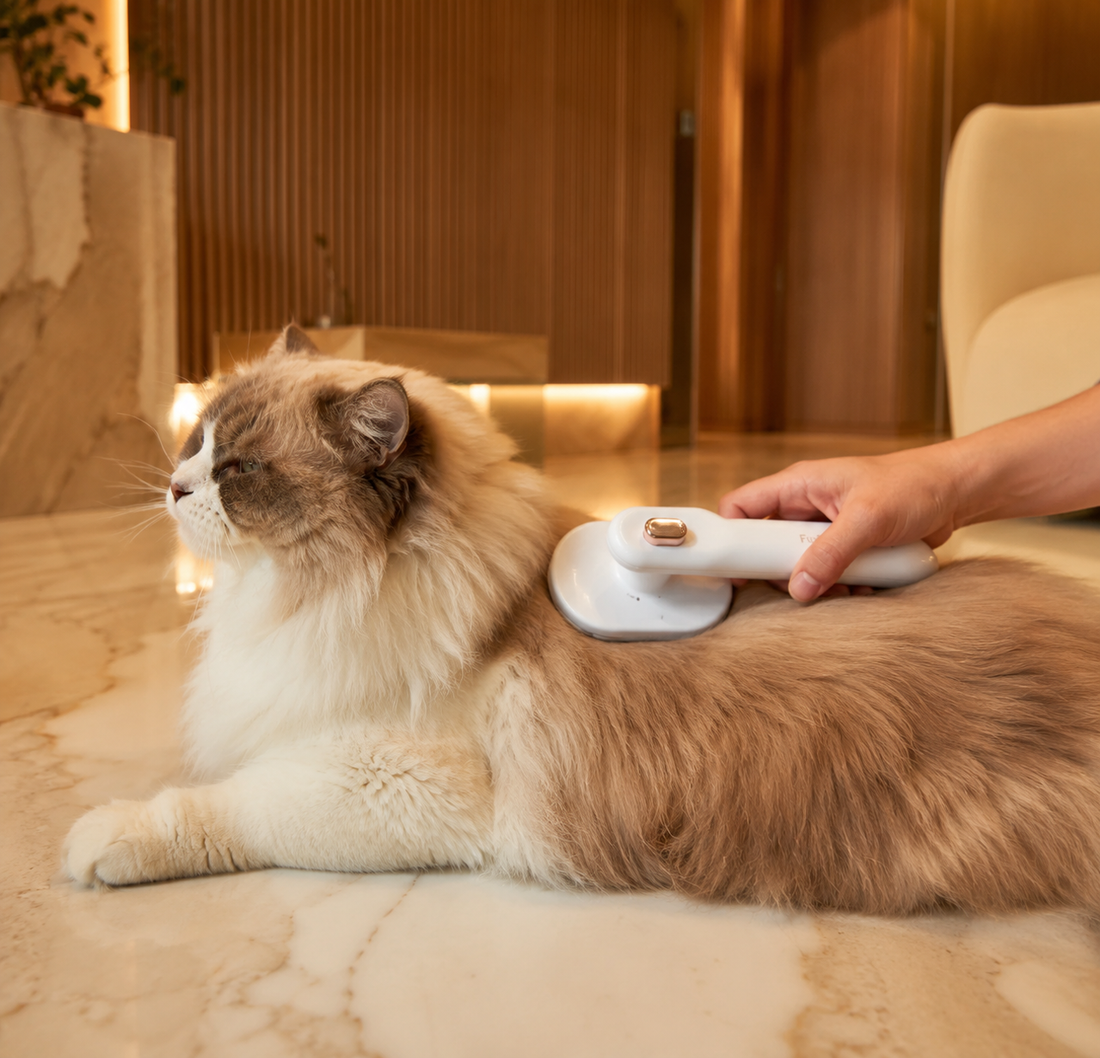 FurEase™ — Self-Cleaning Grooming Brush
