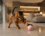 PurrPlay™ — Automatic Rolling Cat Ball
