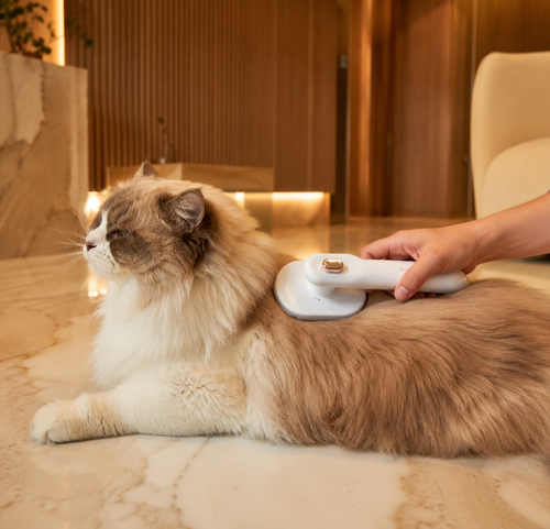 FurEase™ — Self-Cleaning Grooming Brush