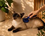 FurEase™ — Self-Cleaning Grooming Brush