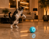 PurrPlay™ — Automatic Rolling Cat Ball