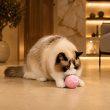PurrPlay™ — Automatic Rolling Cat Ball