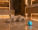 PurrPlay™ — Automatic Rolling Cat Ball