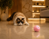PurrPlay™ — Automatic Rolling Cat Ball